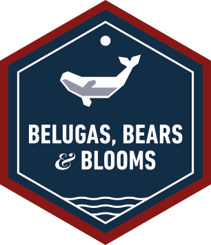 Belugas, Bears and Blooms - Adventurer - Family Adventure