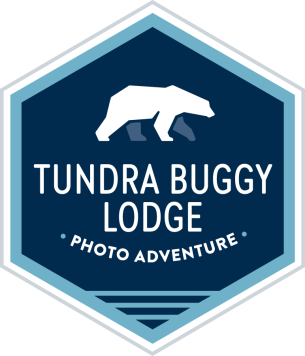 Photo Adventure: Polar Bears at Tundra Buggy Lodge