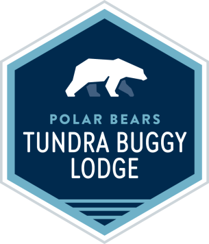 Polar Bears at Tundra Buggy Lodge 