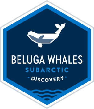 Subarctic Discovery: Churchill Beluga Whales