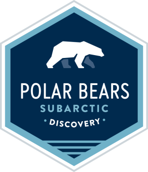 Subarctic Discovery: Churchill Polar Bears