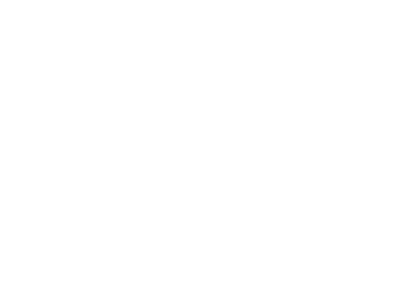 Polar Bears International Logo