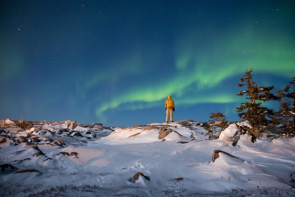 The Northern Lights in Winter, Churchill, Manitoba, Canada загрузить